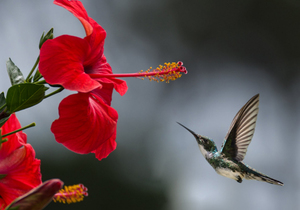 晚年凄凉,必有征兆