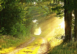 心态,是最好的本钱