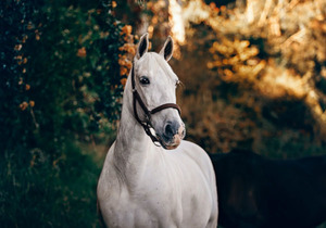人的命,天注定!