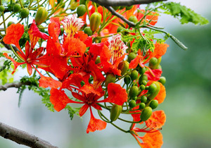 别人为什么愿意跟你相处?