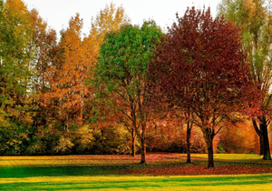 水低为海,人低为王