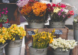 儿孙自有儿孙福