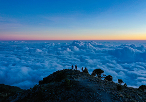 人生,是一场醒悟!