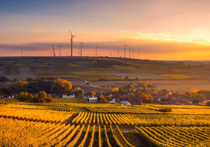 这种人命最好,有你吗?