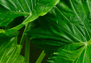 把你的家庭经营好