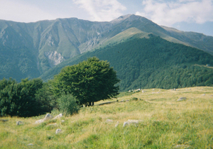 孝顺 ,孝了你就顺了