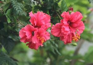 争赢了,什么都输了