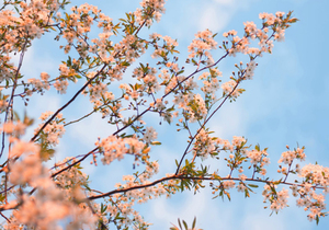 人品，永远第一!