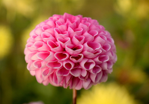 子女注定毫无出息!