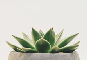 聊以下几个话题,一定要远离