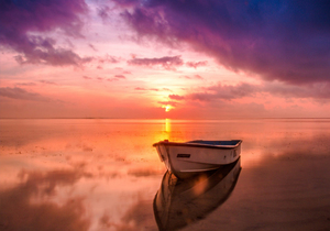 人为什么要早起?