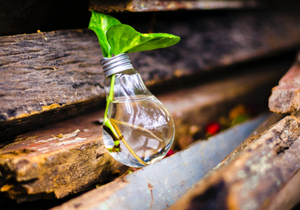 不知他人苦,莫劝他人善