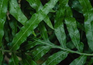 格局大了,生活就顺了