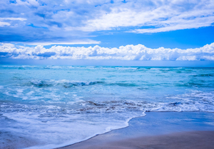 习惯了得到,便忘记了感恩