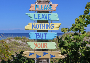 傻才幸福,聪明太累