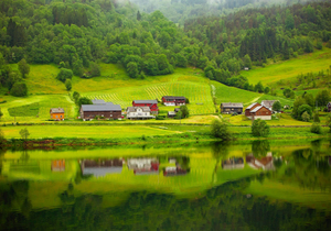 什么才是晚年真正的依靠?