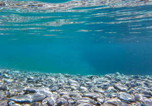 钱品差的人,人品不会太好