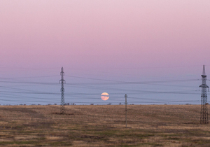 最高境界:1个字