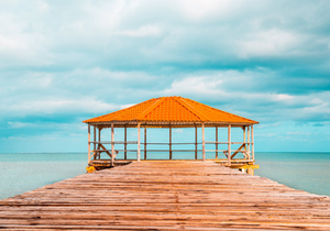 人老了,不在于运动