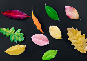 在变老的路上,一定要变好!