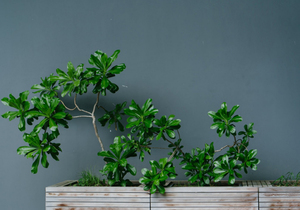 人性最大的愚蠢,是自以为是